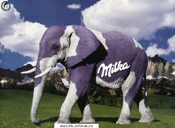 scz pt cei carora le place milka funny
